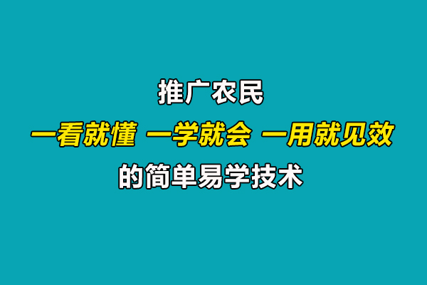 引導(dǎo)農(nóng)民合理施肥用藥,推廣一看就懂、一學(xué)就會(huì)、一用就見(jiàn)效的技術(shù)